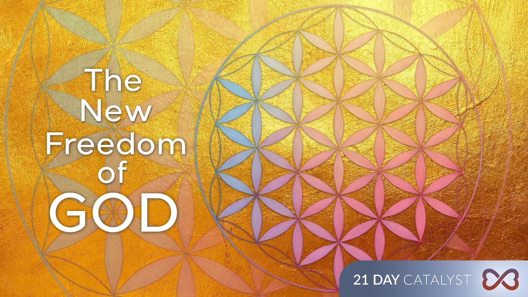 The New Freedom of God – 21 Day Catalyst