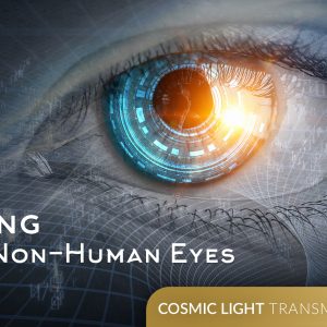 Seeing with Non-Human Eyes - Cosmic Light Transmissions