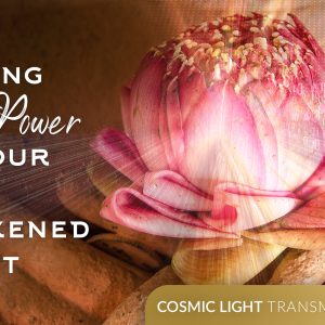 Owning the Power of Your Pure Awakened Spirit - Cosmic Light Transmissions